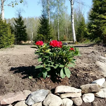 Holiday home Brivdienu Maja 